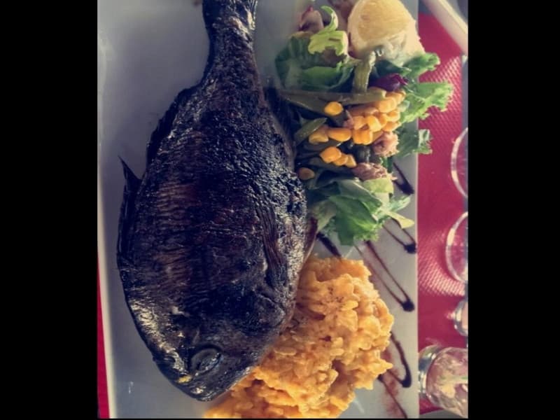 Restaurant La Terrasse Marseille.jpg