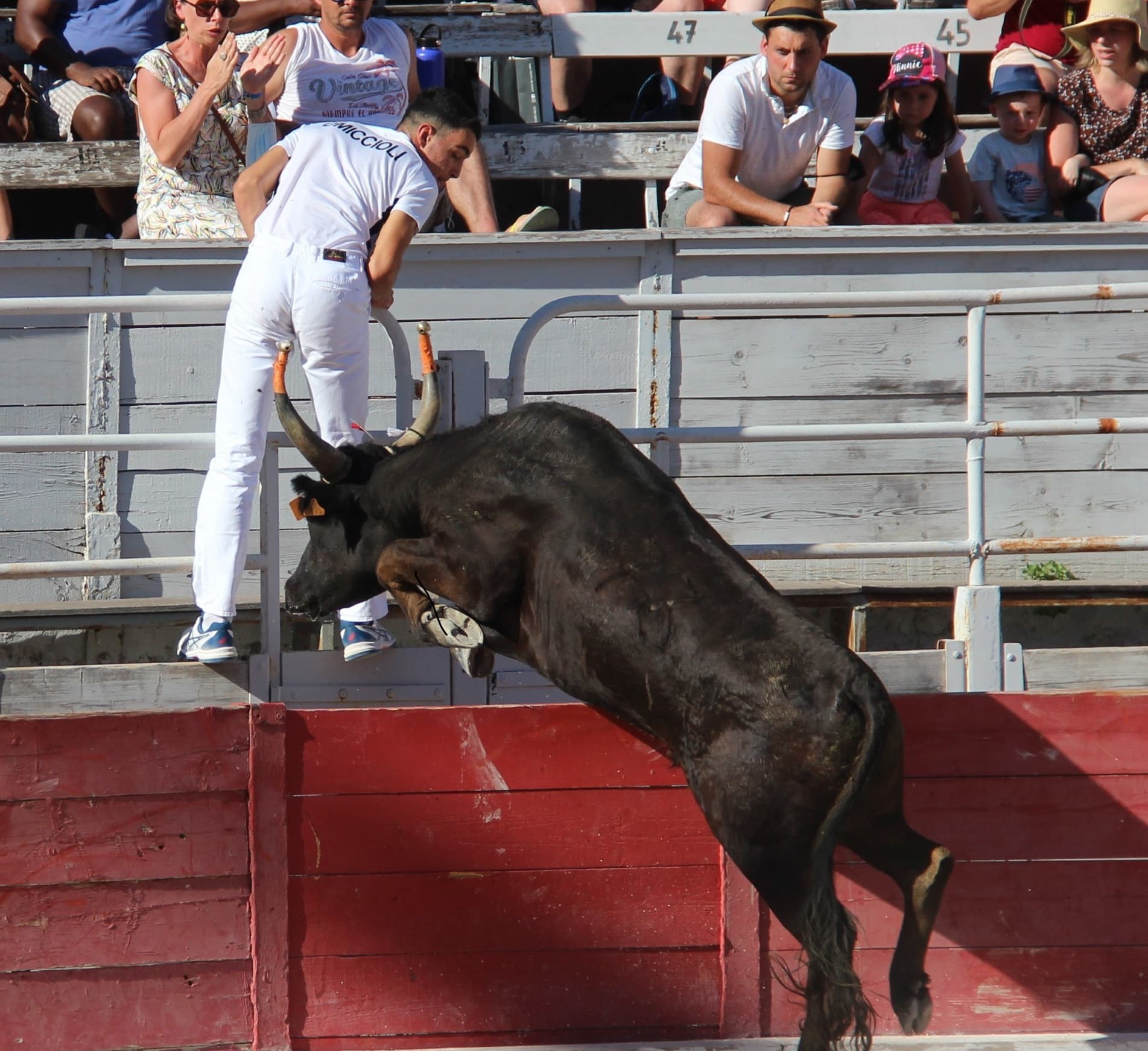 Féria de Pâques - Course Camarguaise_Arles