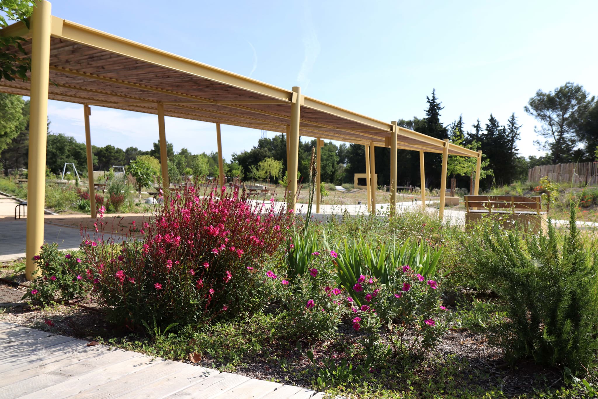 Parc de Versaille_Rognes
