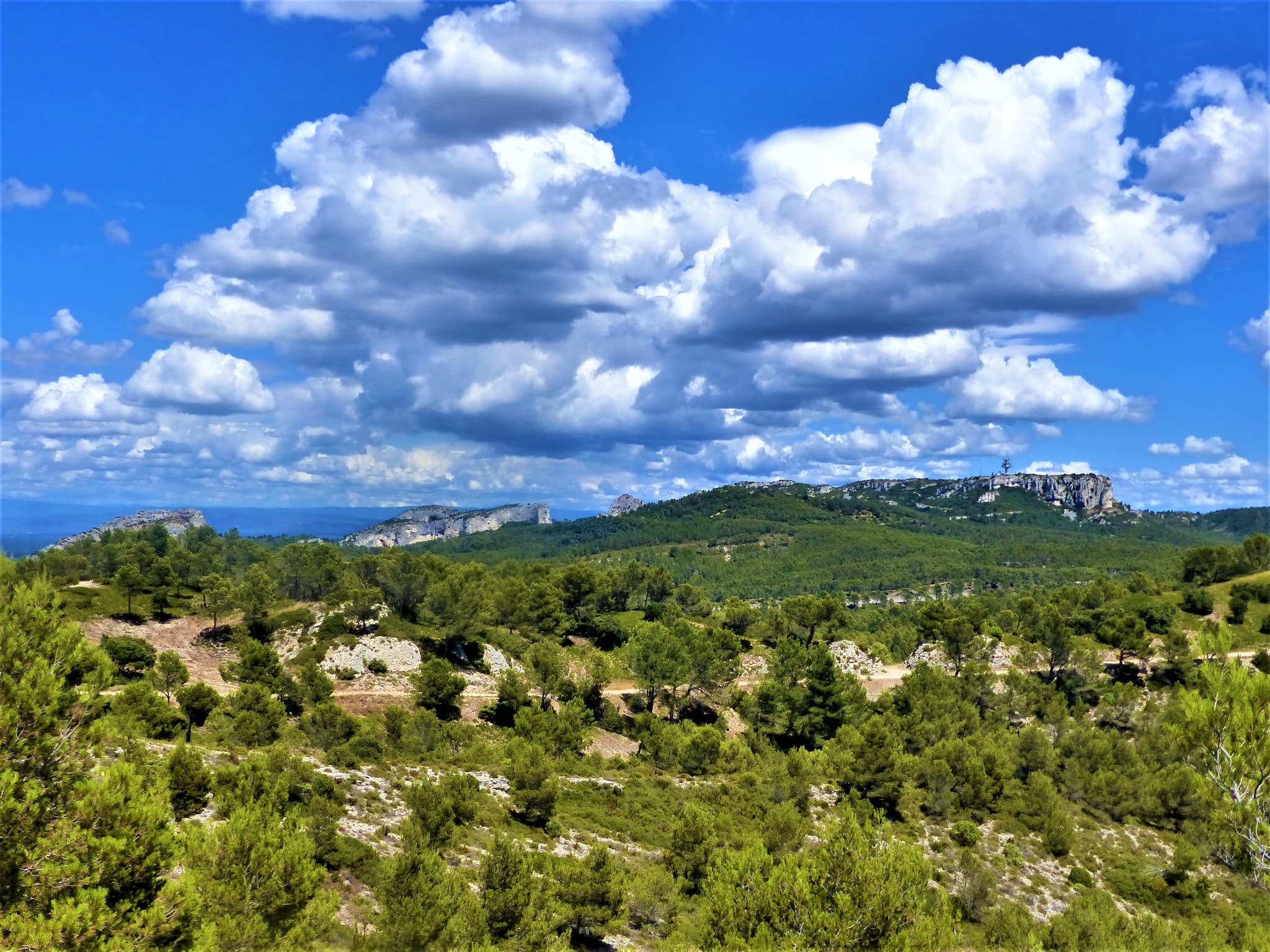 Le plateau de la Caume_Saint-Rémy-de-Provence