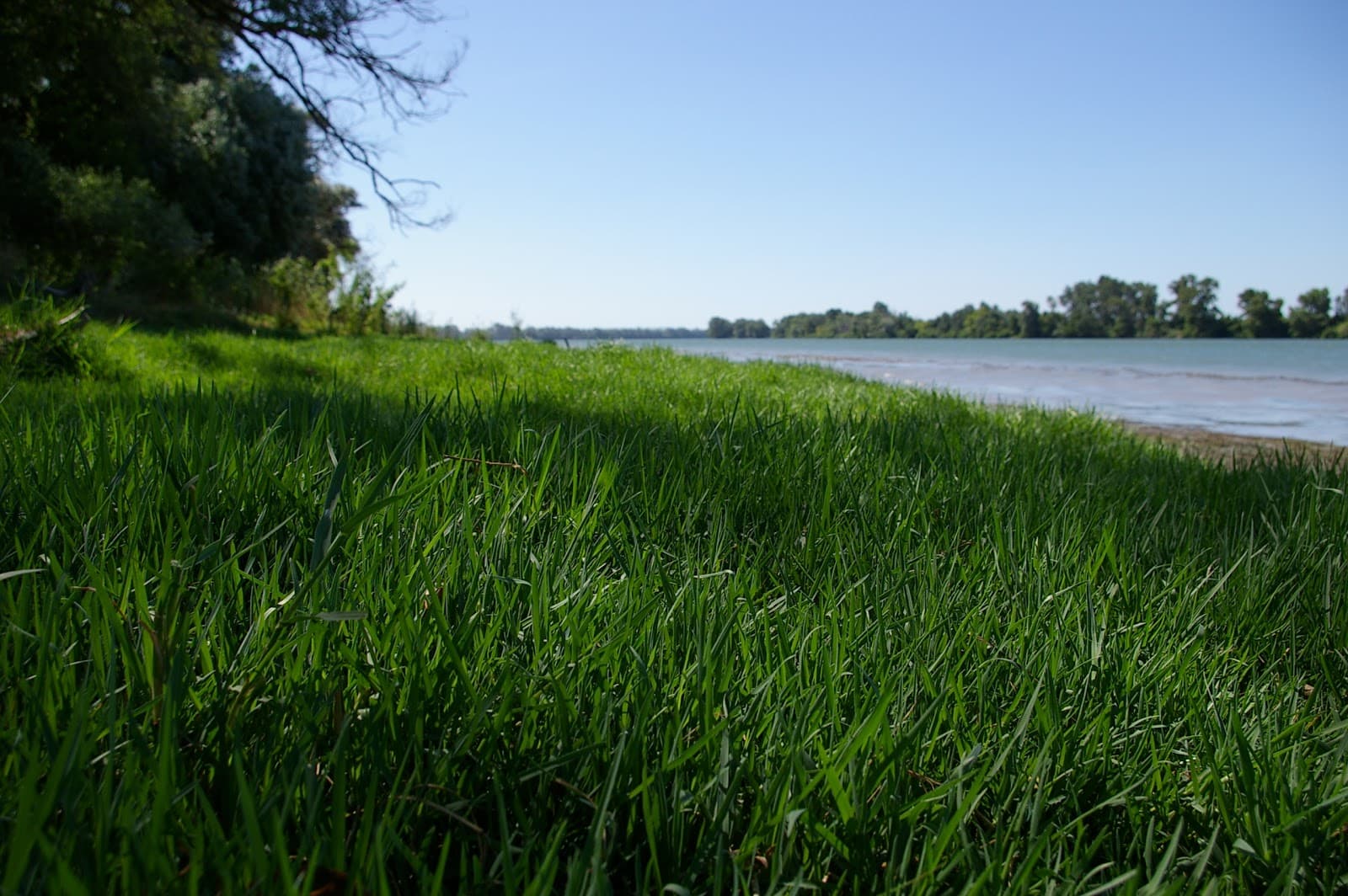 Domaine Isle Saint Pierre