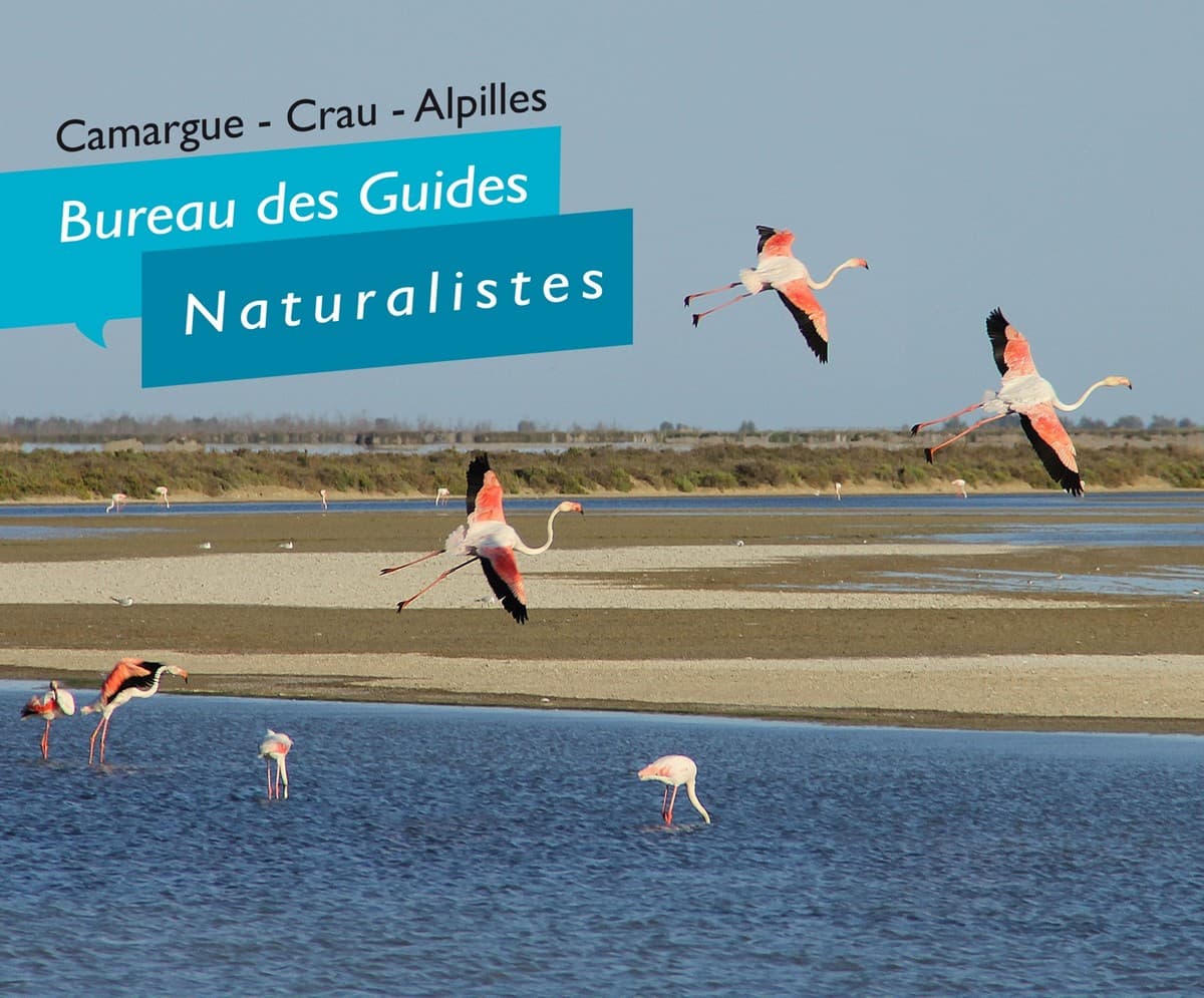 Bureau des guides naturalistes