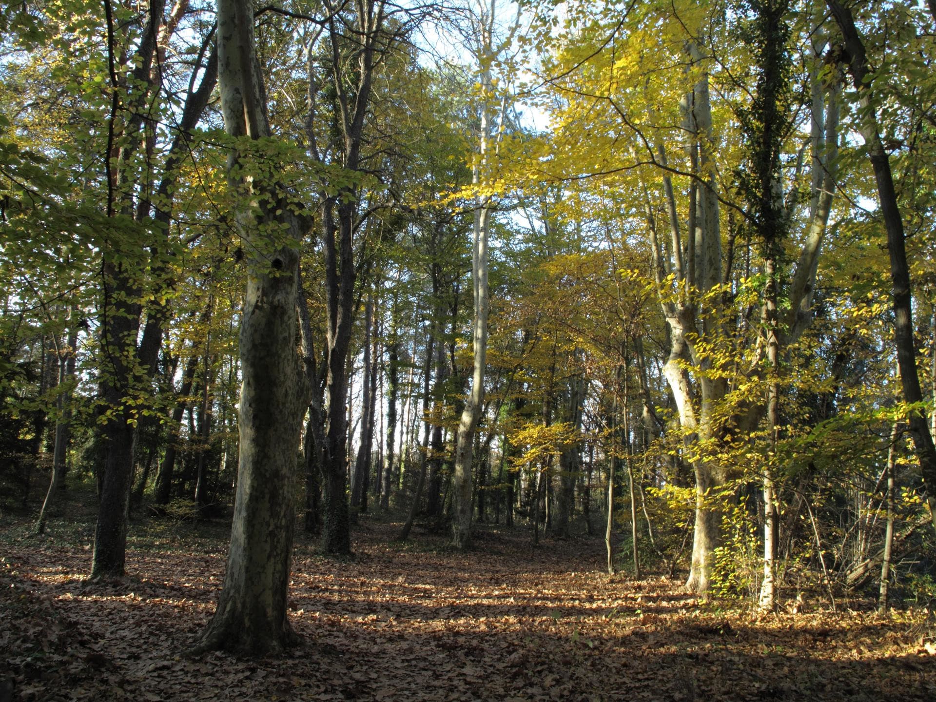 13SNA000054_2_HD.jpg