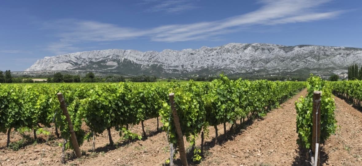 Domaine la Grande Bauquière