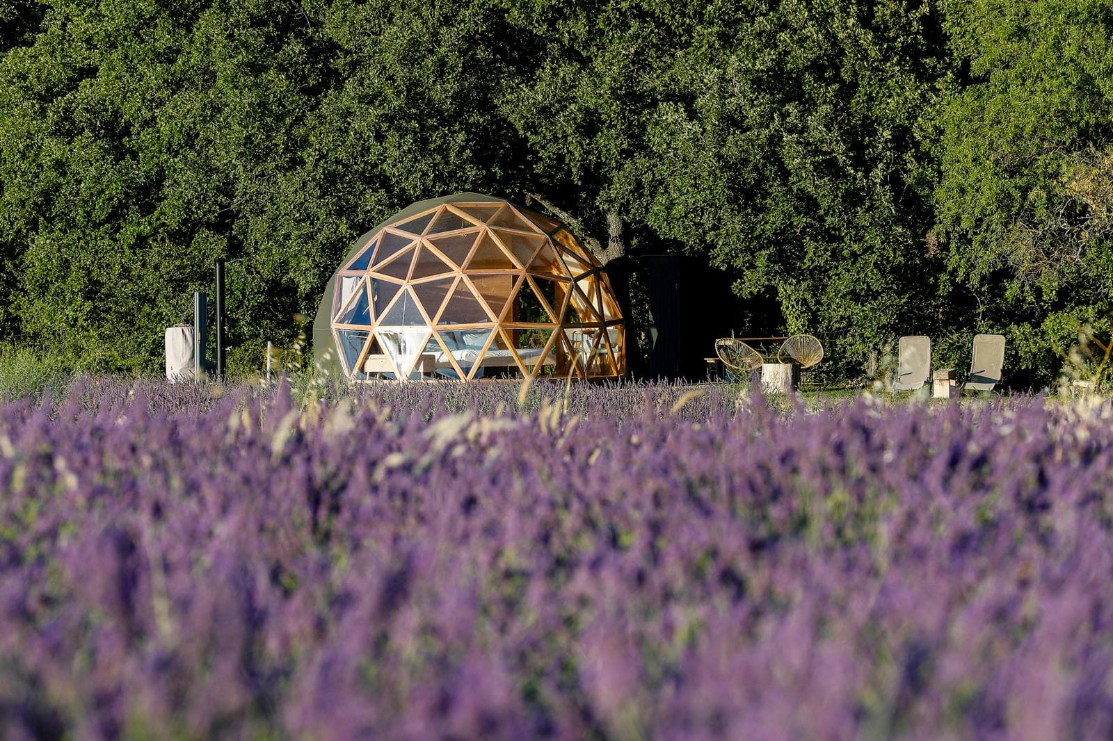 La bulle du Lavandin
