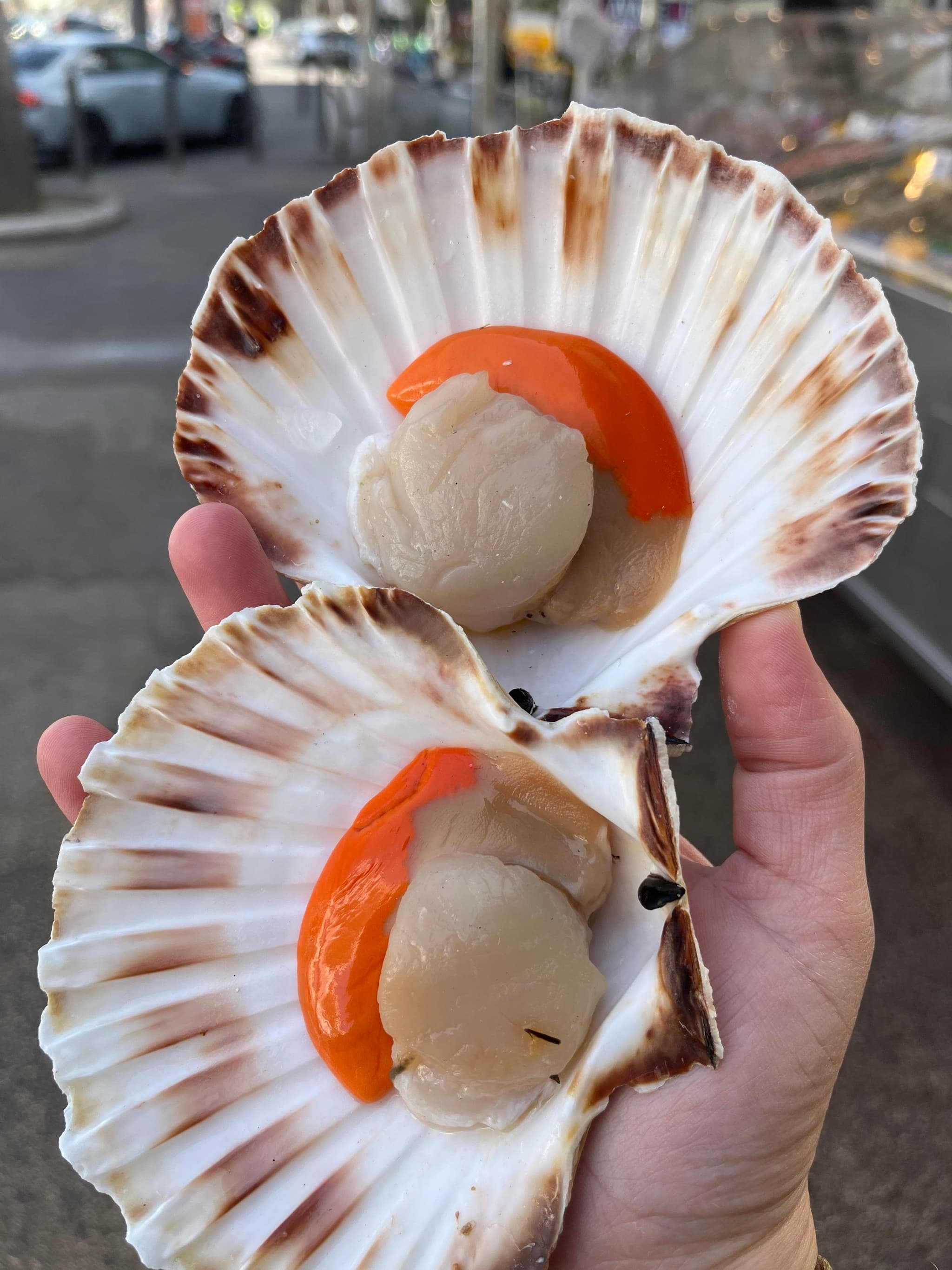 Coquille Saint Jacques chez Pierrot Coquillages