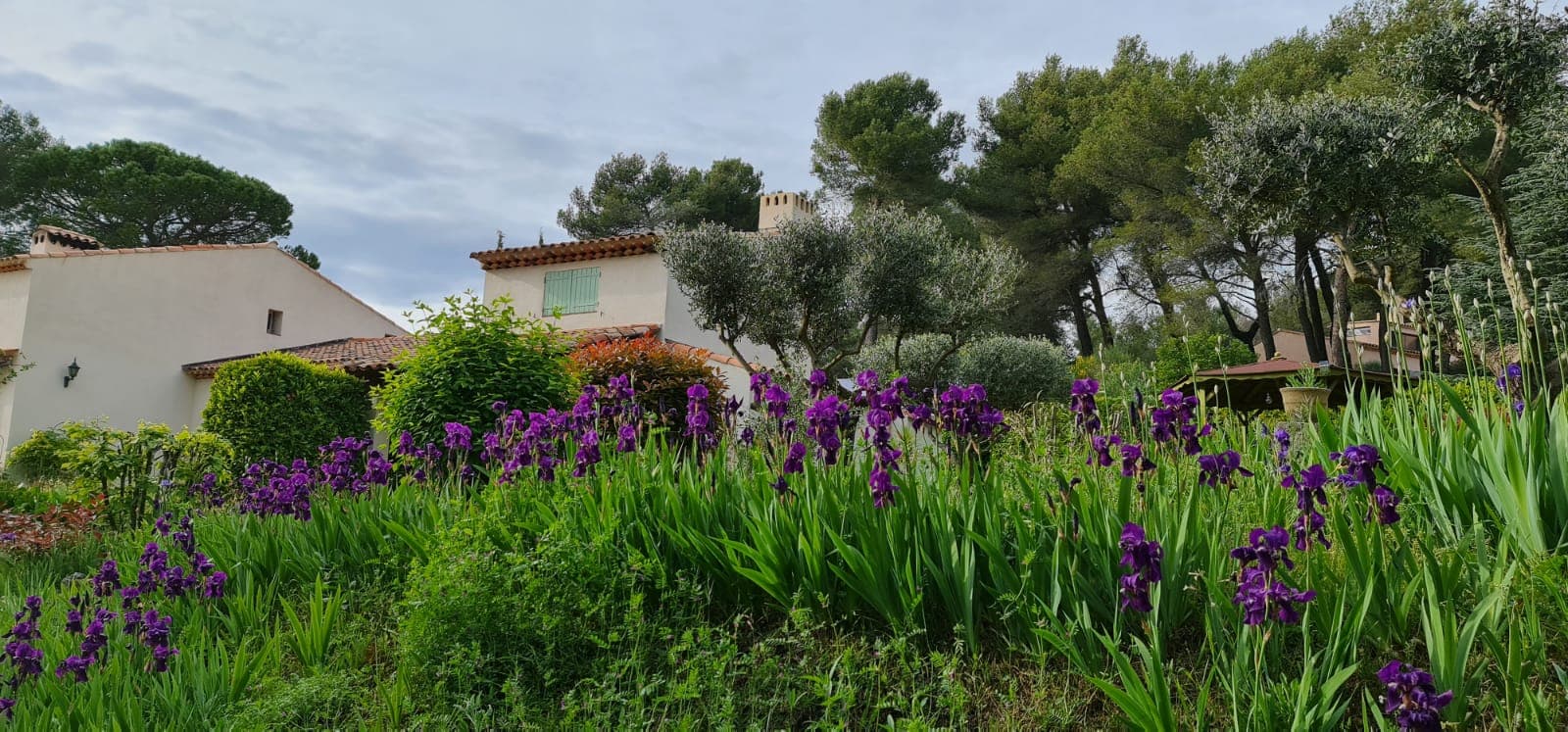 Les Hauts Pinchinats