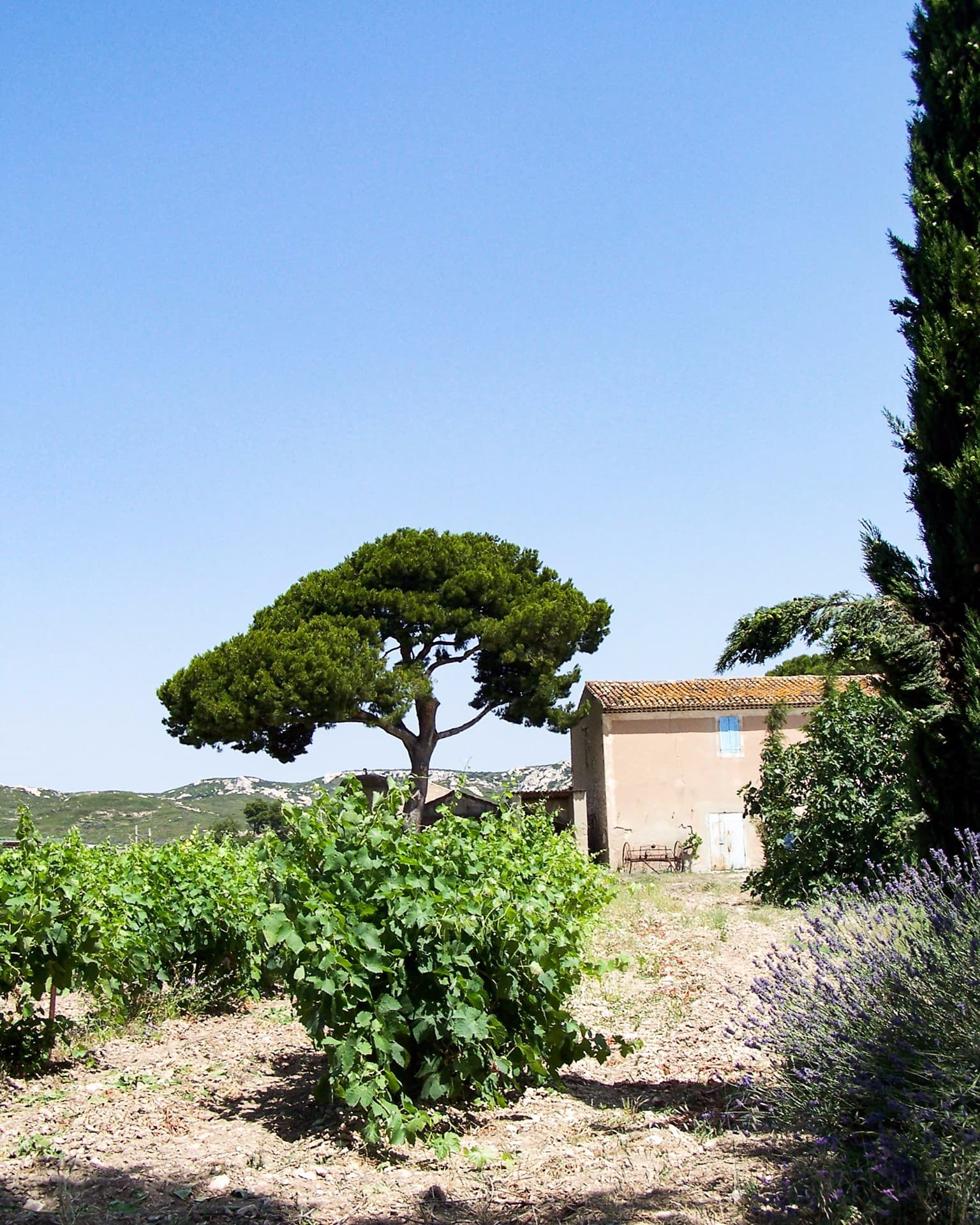Domaine de Suriane
