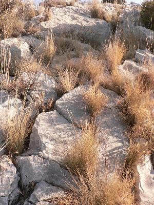 13VIS000832_4_WEB.jpg