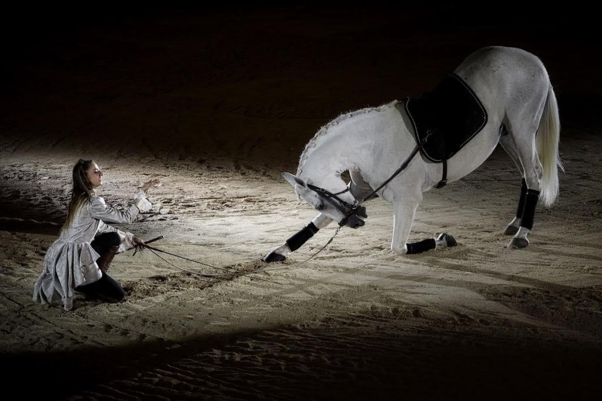 Spectacle équestre "Pour toi Ugo"_Tarascon