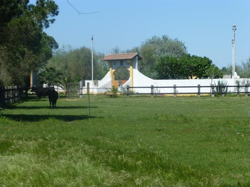 El Rocio 3