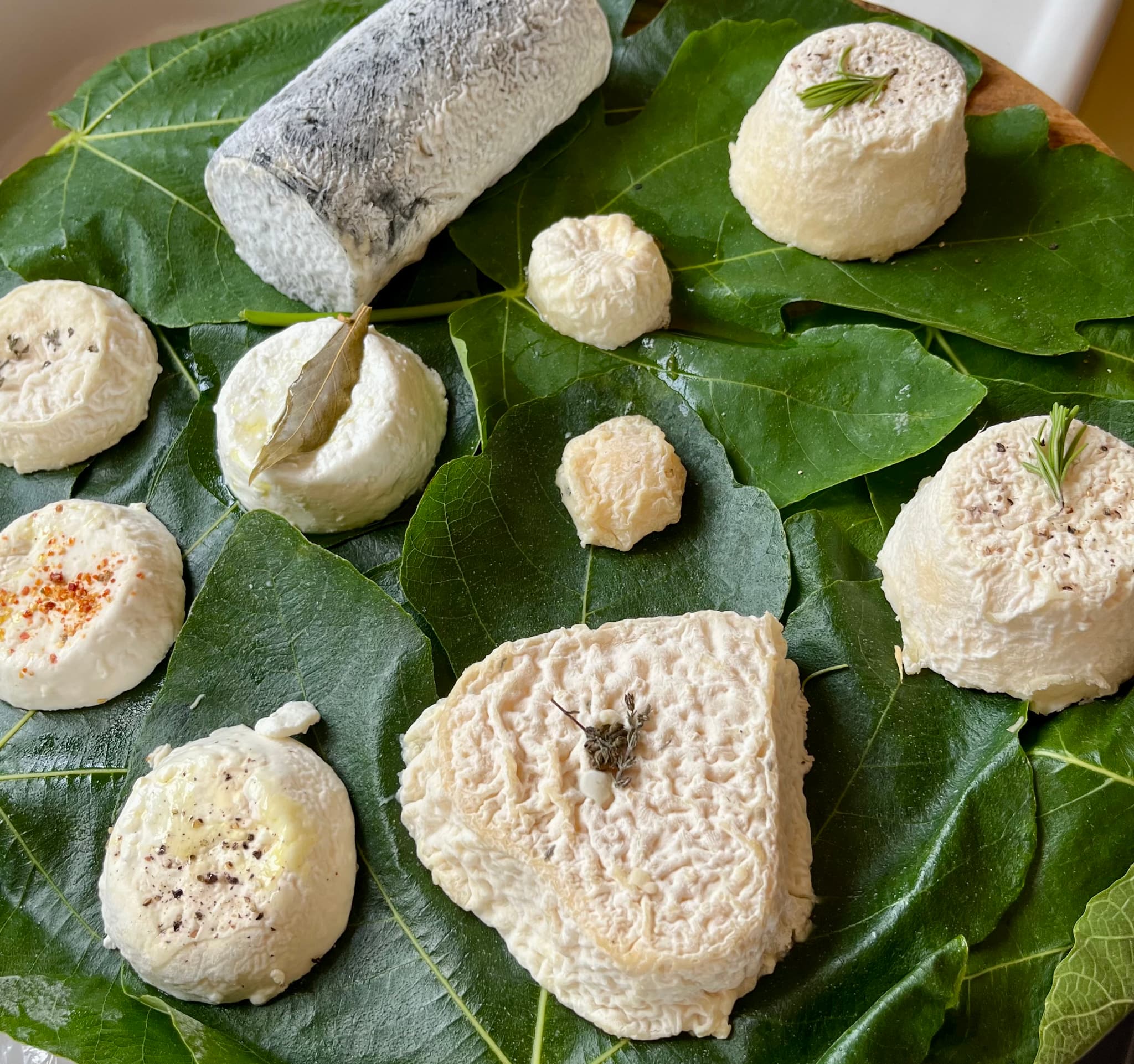 Fan de Chèvre_Cassis