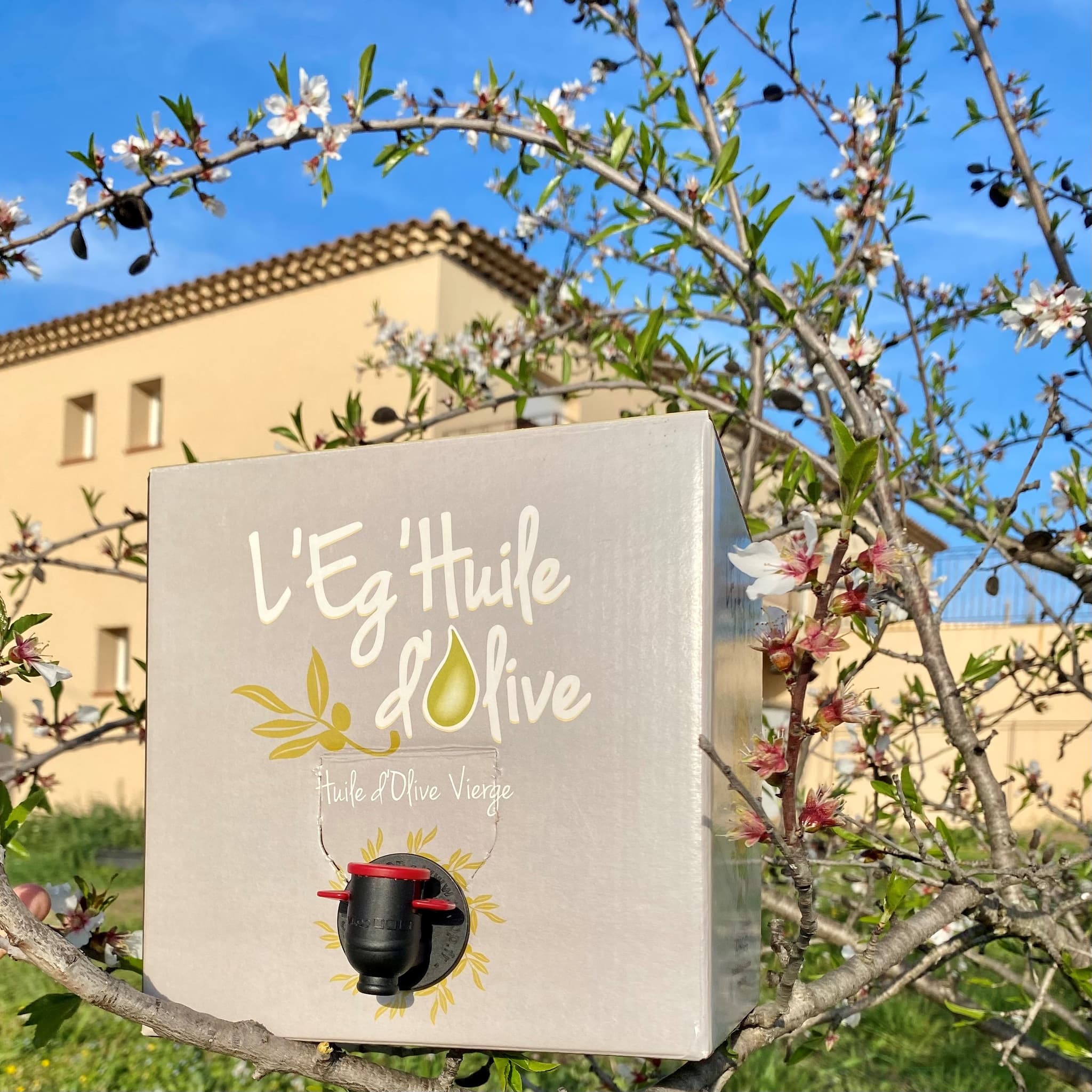 Le moulin à olives d’Éguilles