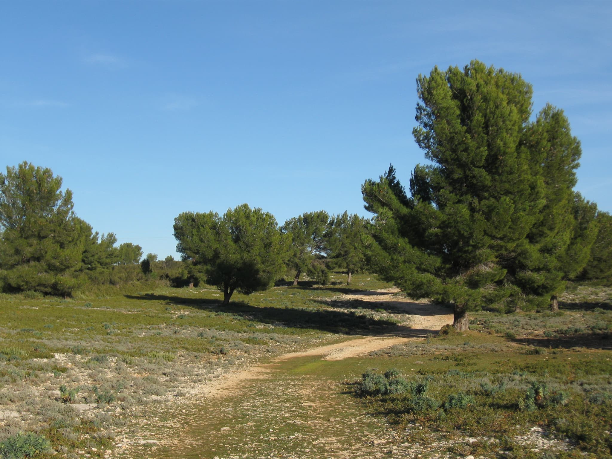 Parc des creusets_Saint-Chamas