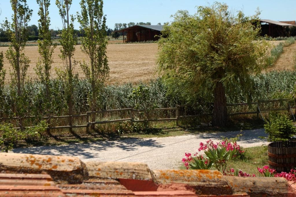 Auberges des Plaines - Ratis_Saintes-Maries-de-la-Mer
