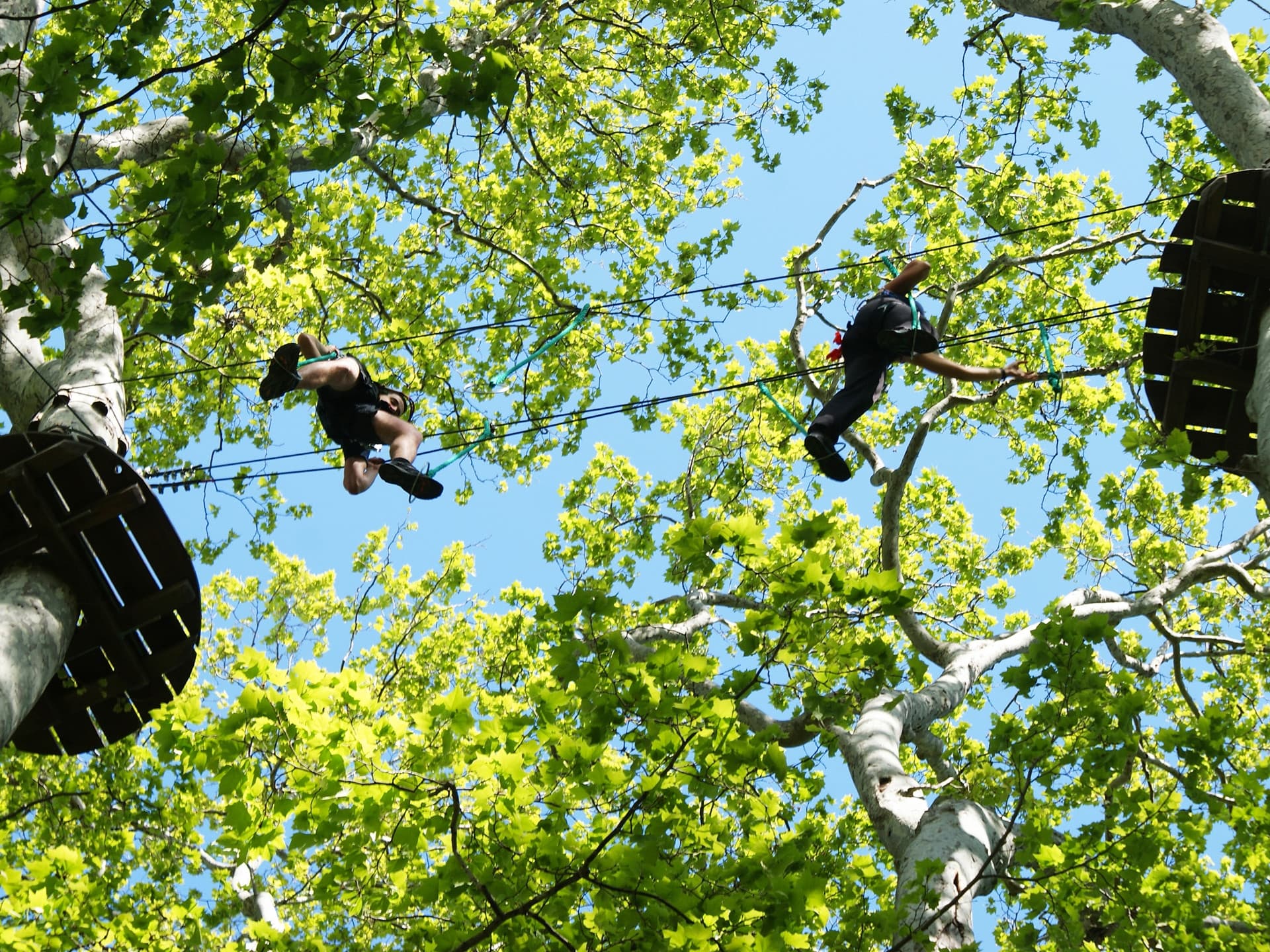 Acrobranches Ecopark Adventure Marseille.jpg