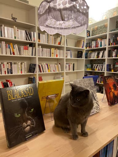 Mon Chat Pitre
