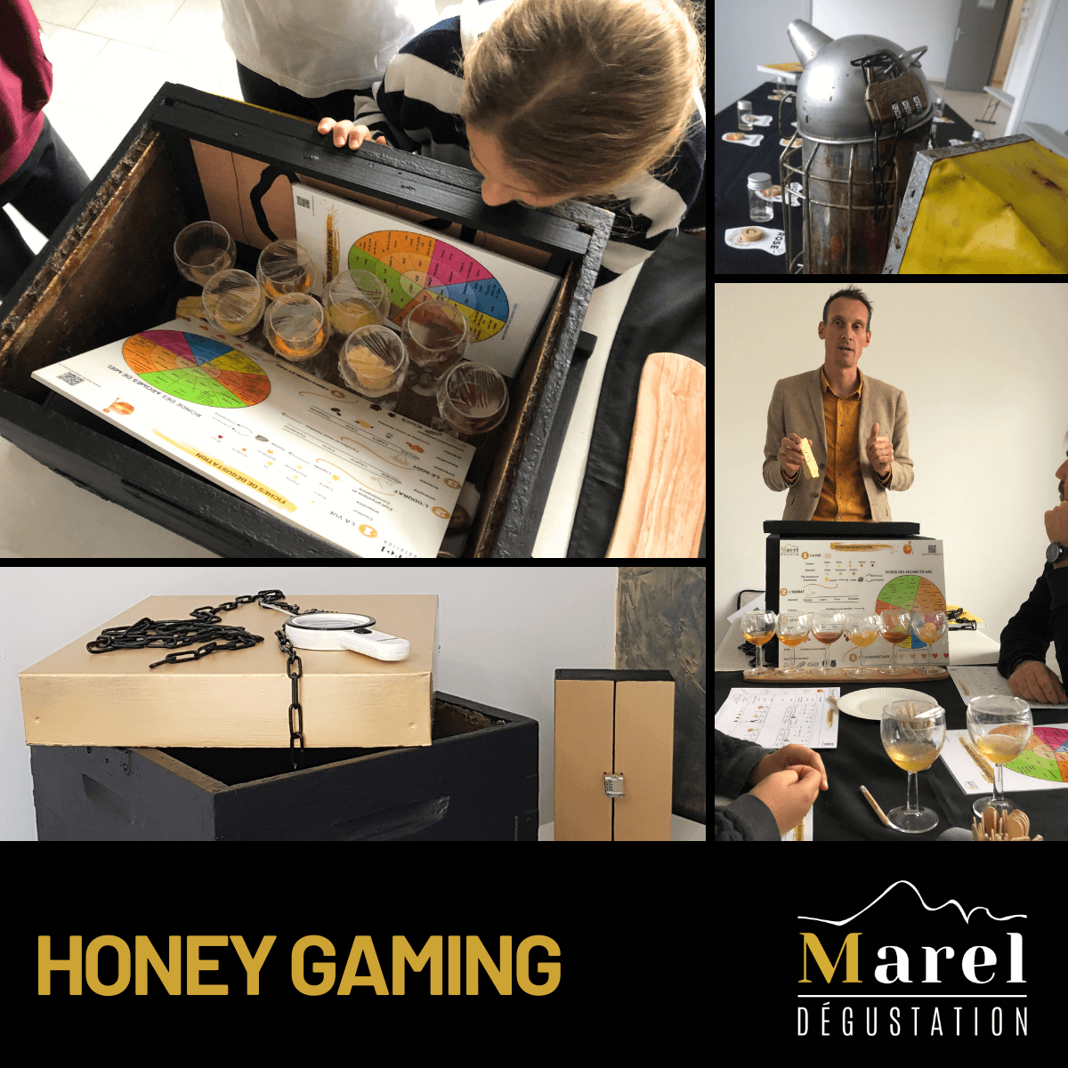 MAREL Dégustation_Carry-le-Rouet