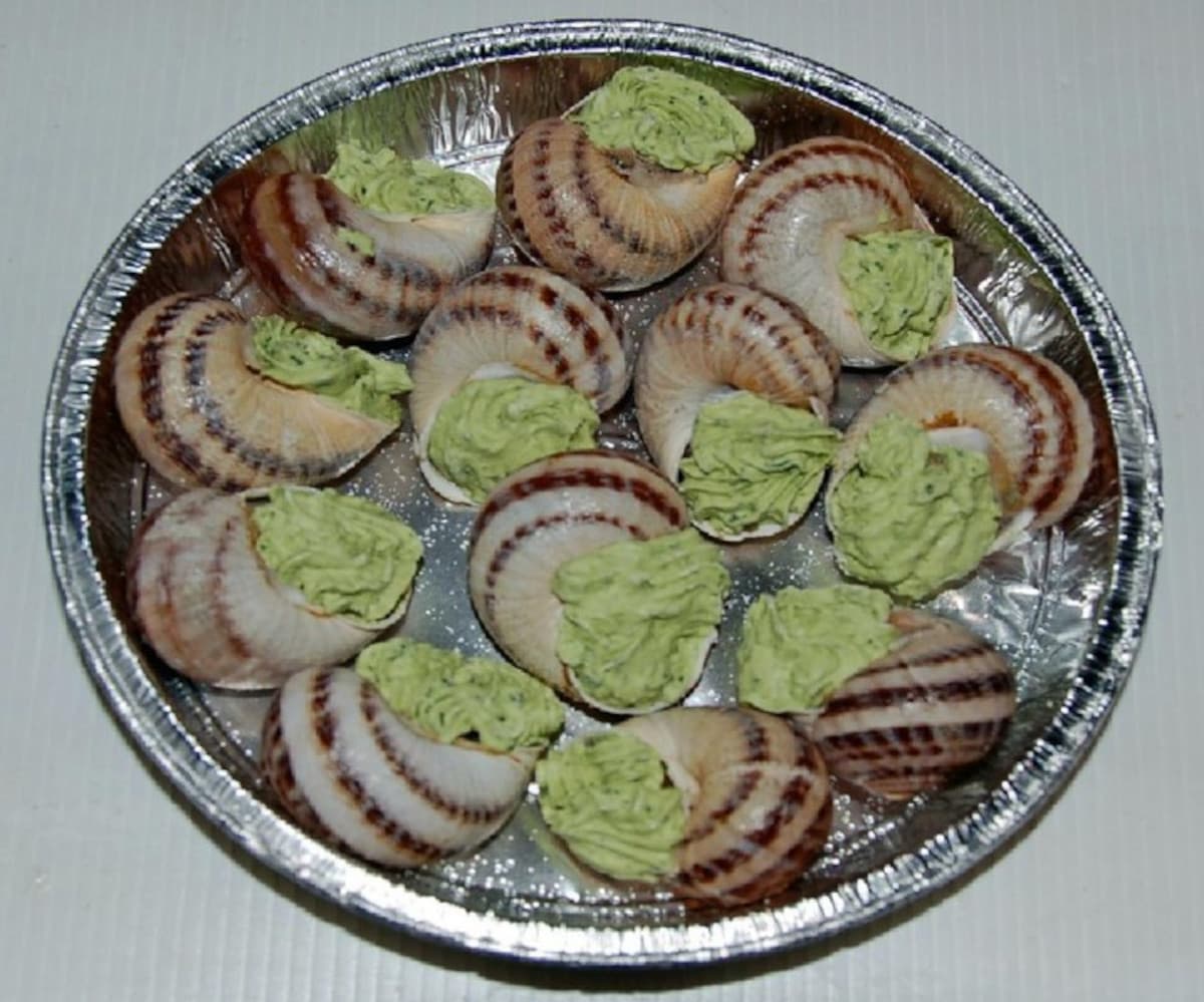 L_Escargot_des_Alpilles