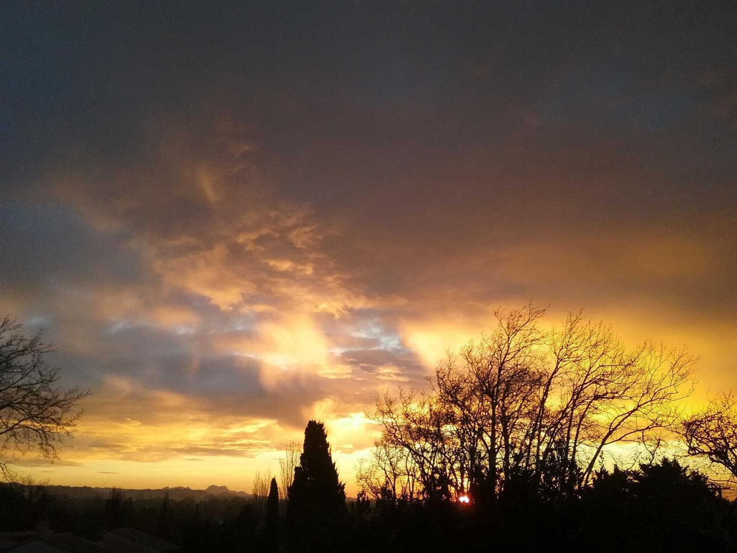 Au coeur des Alpilles