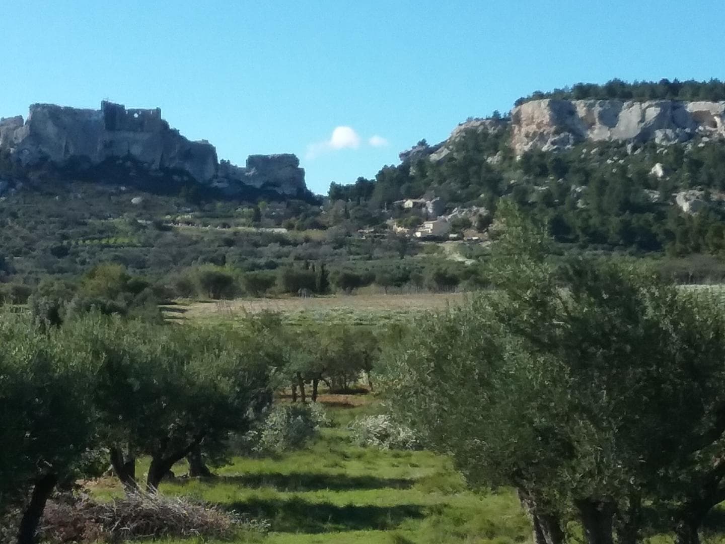 Au coeur des Alpilles