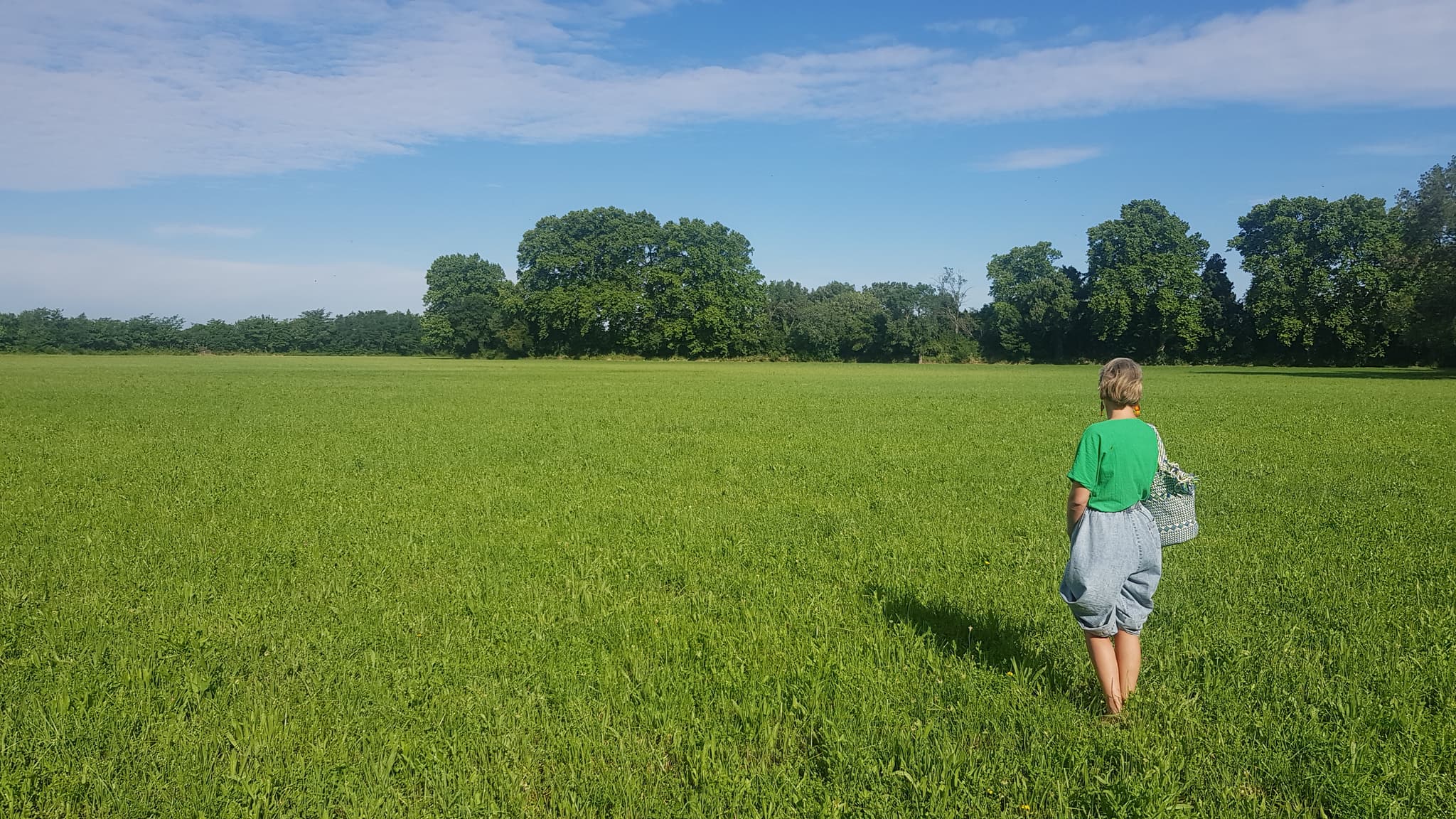 Visite de la bambouseraie de Sulauze & Découverte du foin de Crau