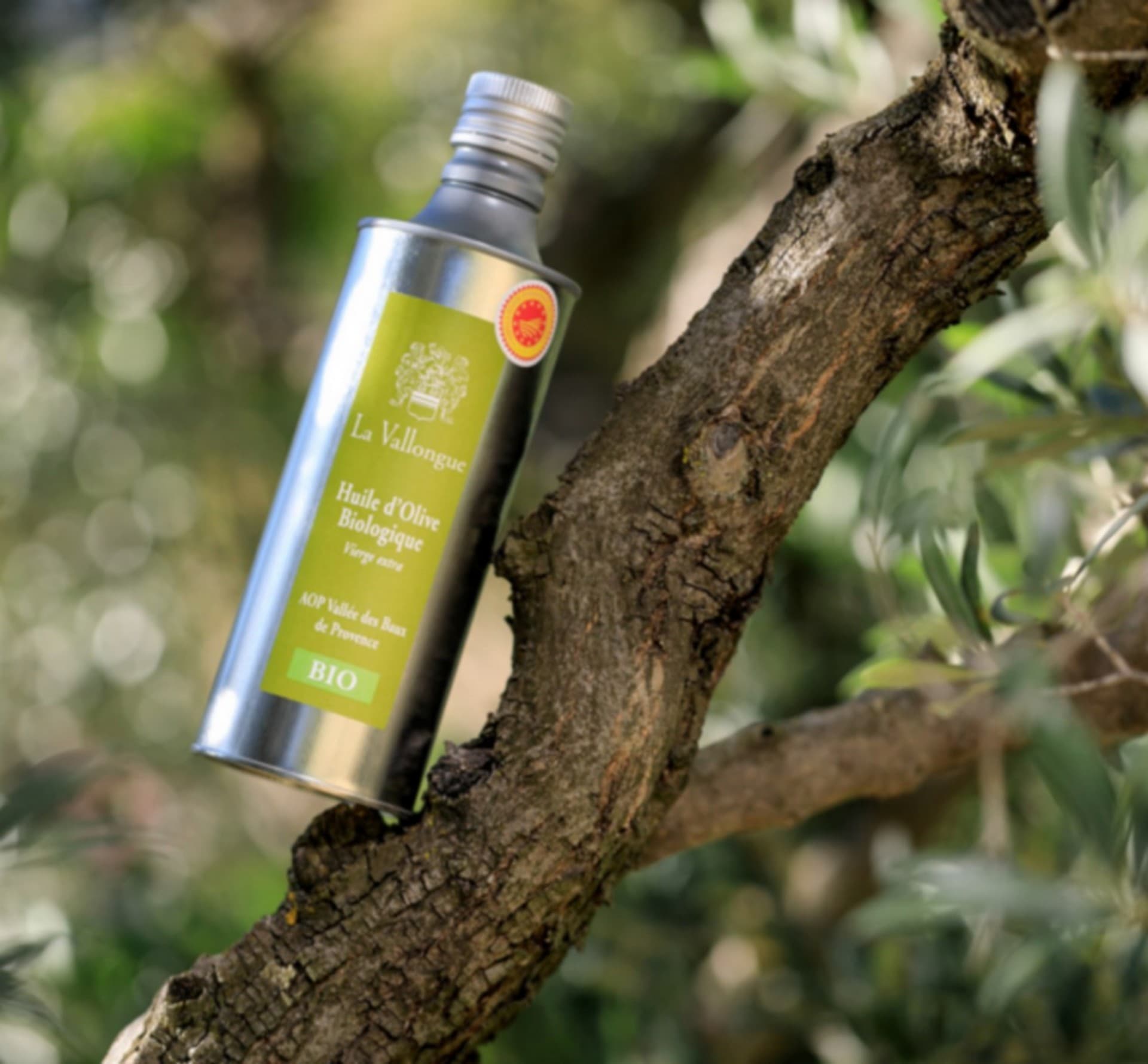 Domaine de la Vallongue Eygalières bouteille d'huile d'olive