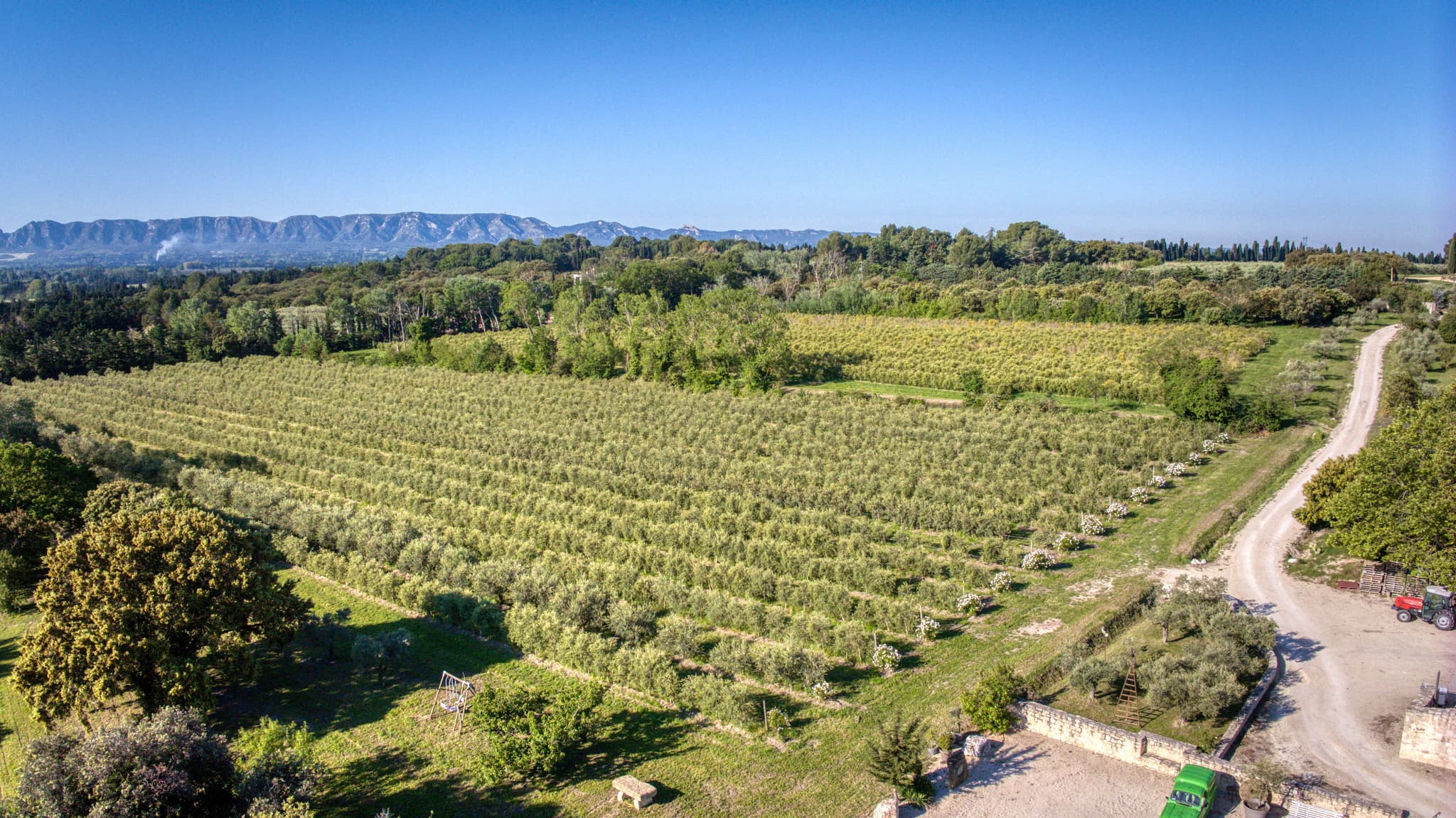 Circuit : Sur le chemin des oliviers