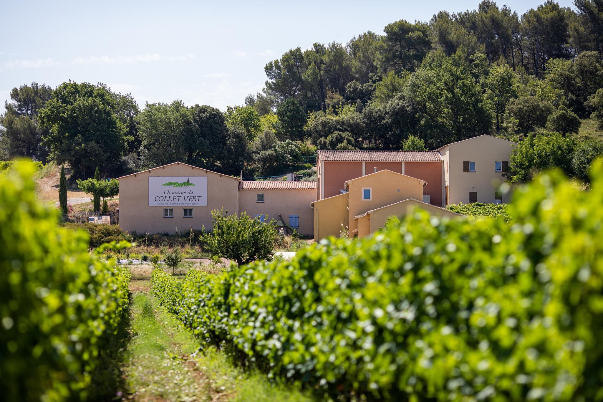 Domaine du Collet Vert