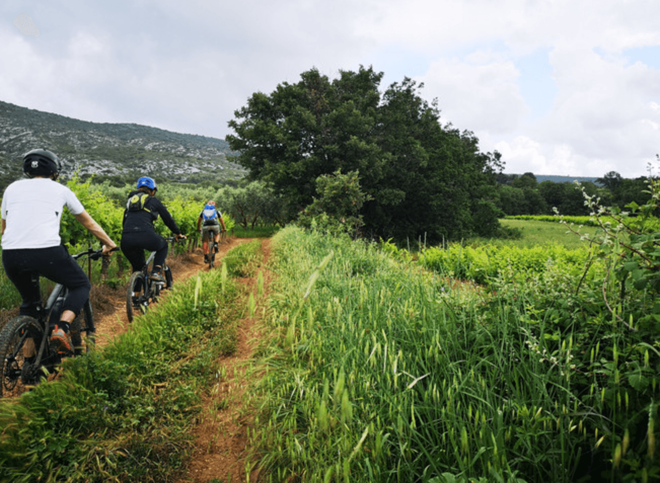 Découverte à Vélo