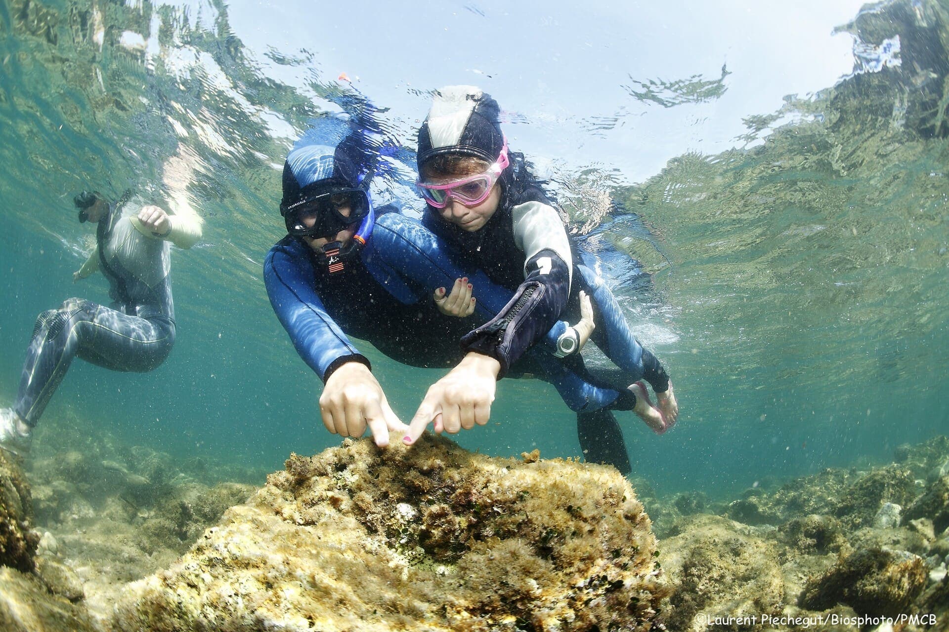Snorkeling au coeur du Parc Marin_Carry-le-Rouet
