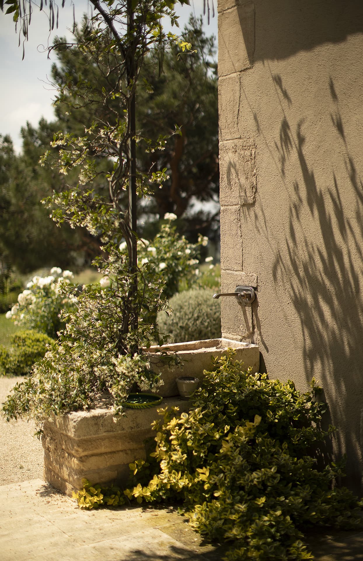 Domaine Jòlibois_Eyguières