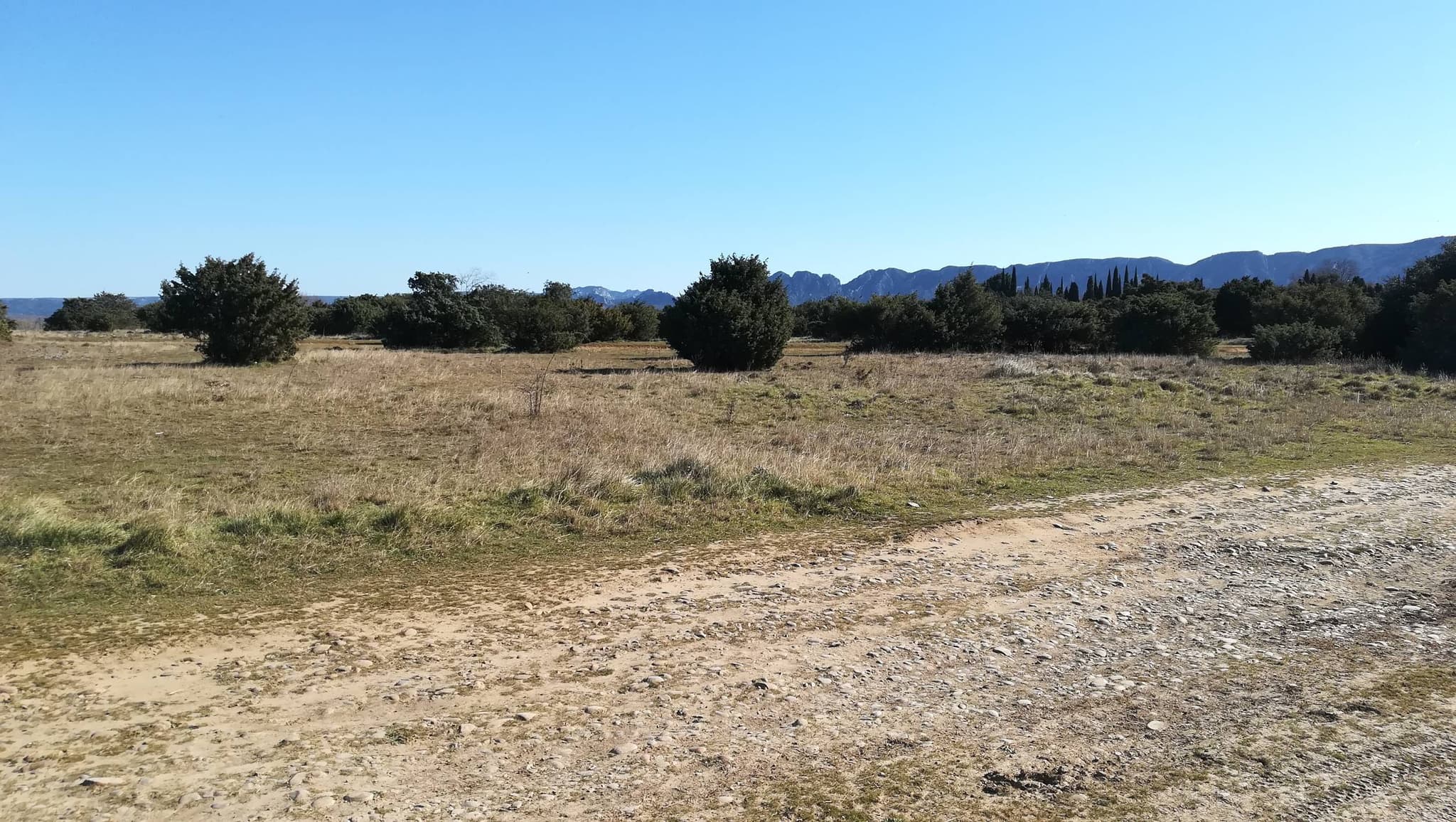 SAINT-RÉMY-DE-PROVENCE - À la rencontre des oiseaux de la Petite Crau