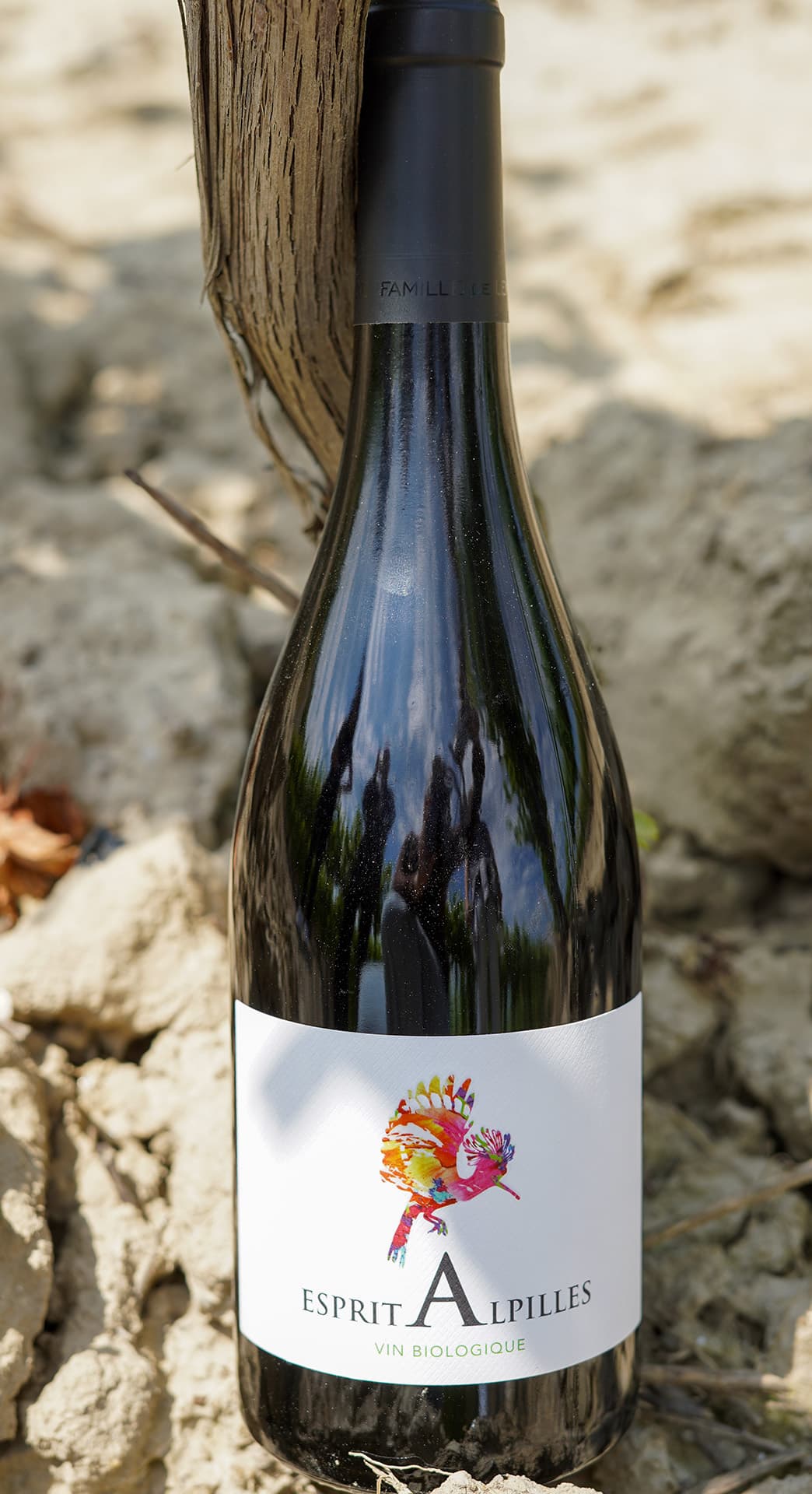 Domaine du Grand Mas de Lansac_Tarascon