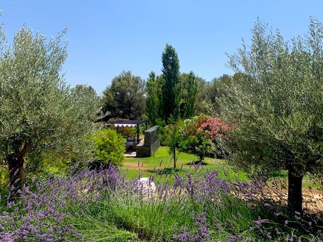 Le jardin