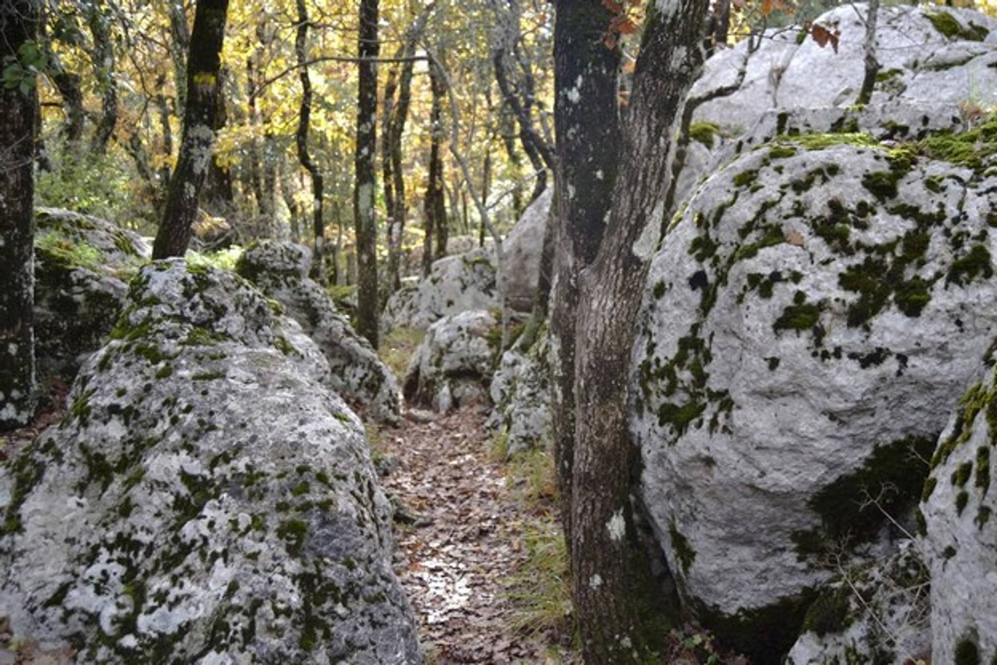 PLAN D'AUPS SAINTE-BAUME - Du sentier Merveilleux à l'oratoire de Miette