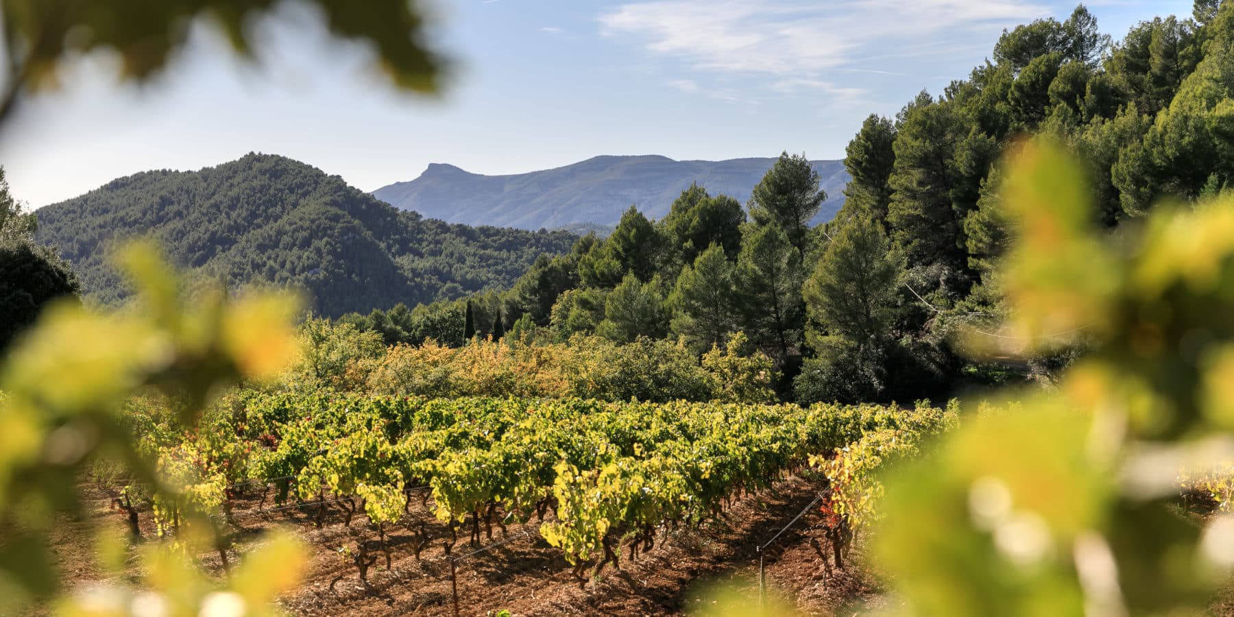 Vignerons du Garlaban