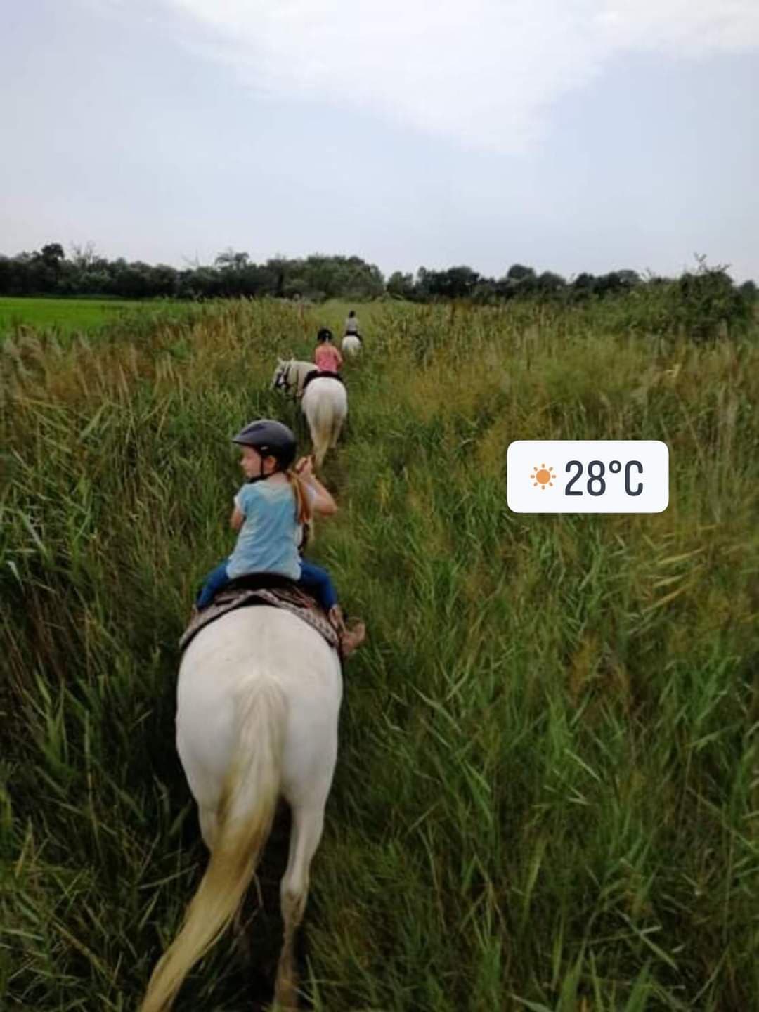 Saint Georges Centre de Tourisme Equestre