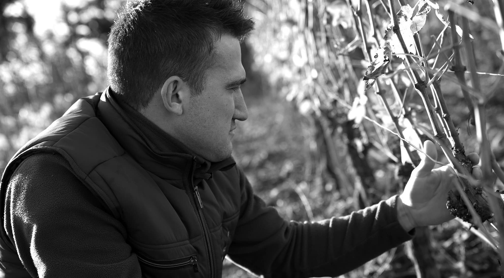 Domaine Fontchene