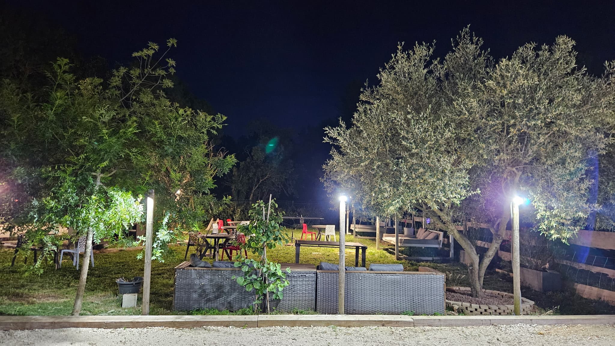 Autour de l'Olivier by 2M_Saint-Martin-de-Crau