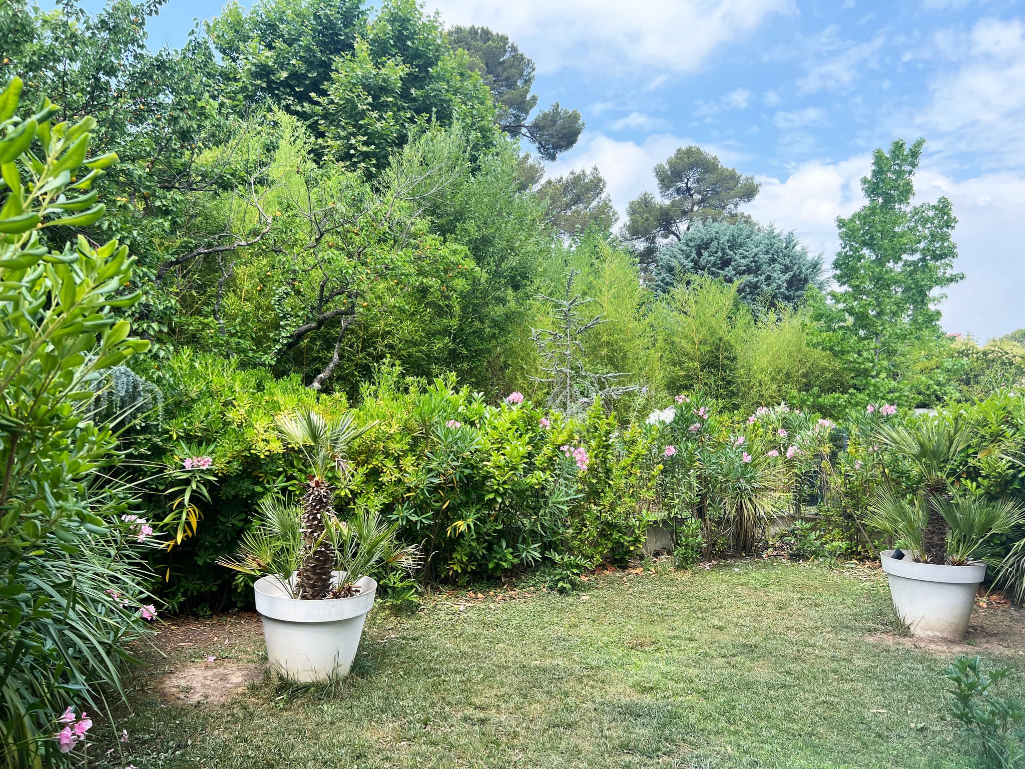 Jardin privatif