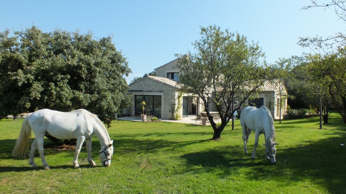 Mas Notre Dame extérieur chevaux