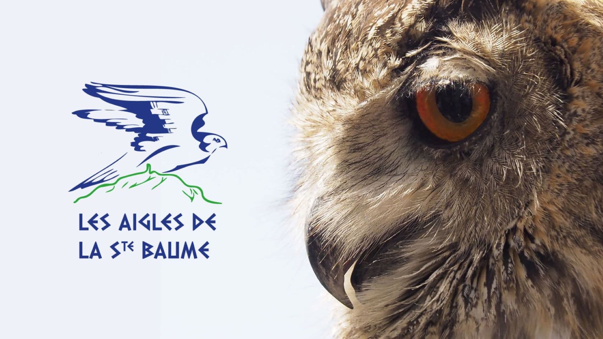 Fauconnerie Aigles de la Sainte-Baume_Cuges-les-Pins