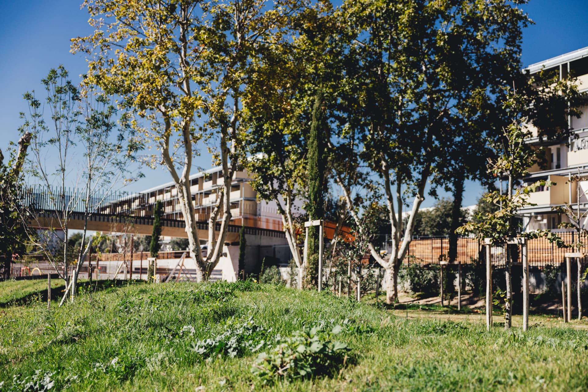 Plaine des sports et des loisirs Busserine - Ville de Marseille