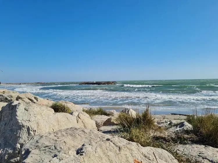 Le Grand Pêcheur