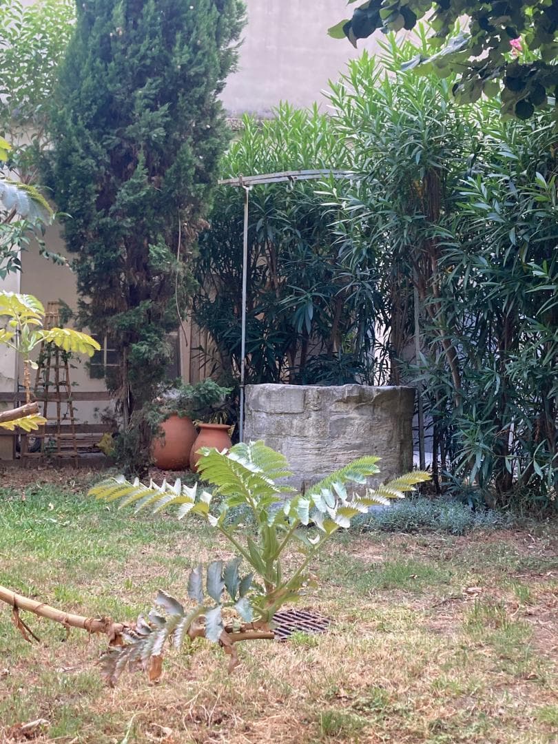 L'Oasis de la Roquette