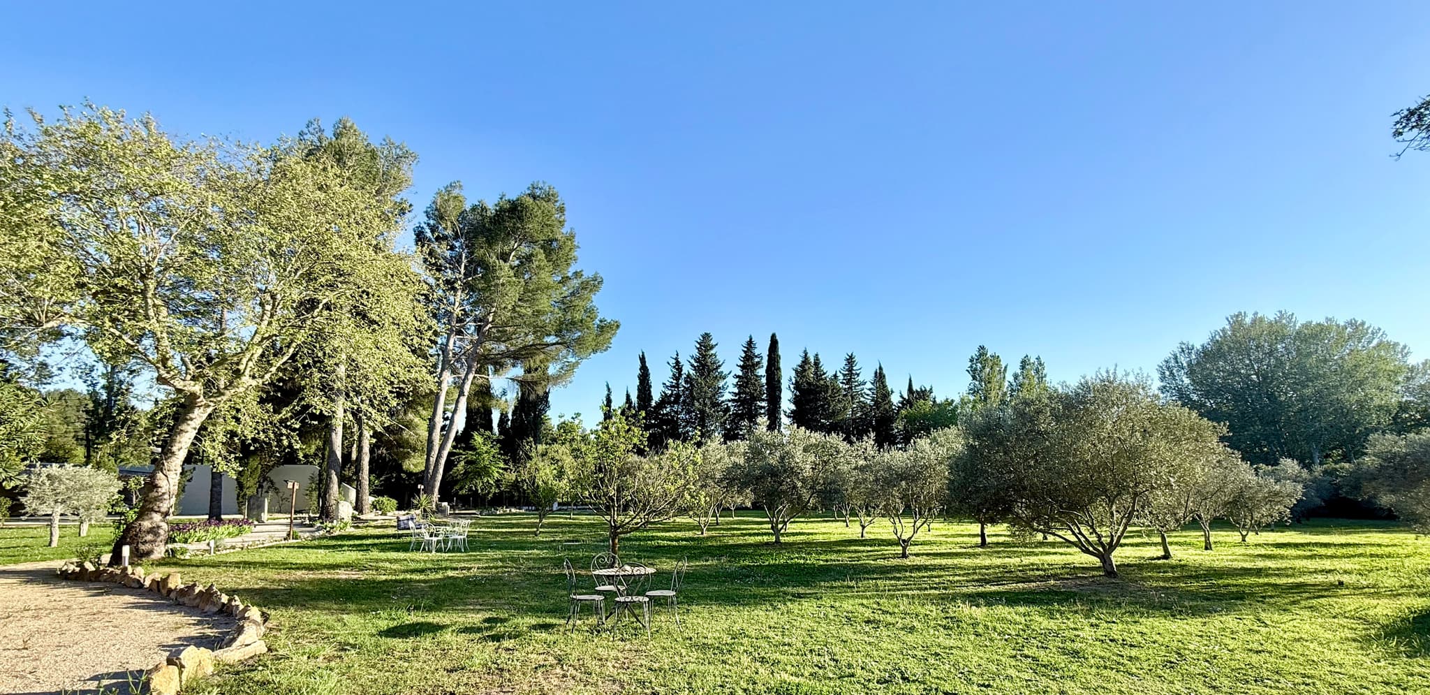 Domaine au Cœur des Alpilles_Maussane-les-Alpilles