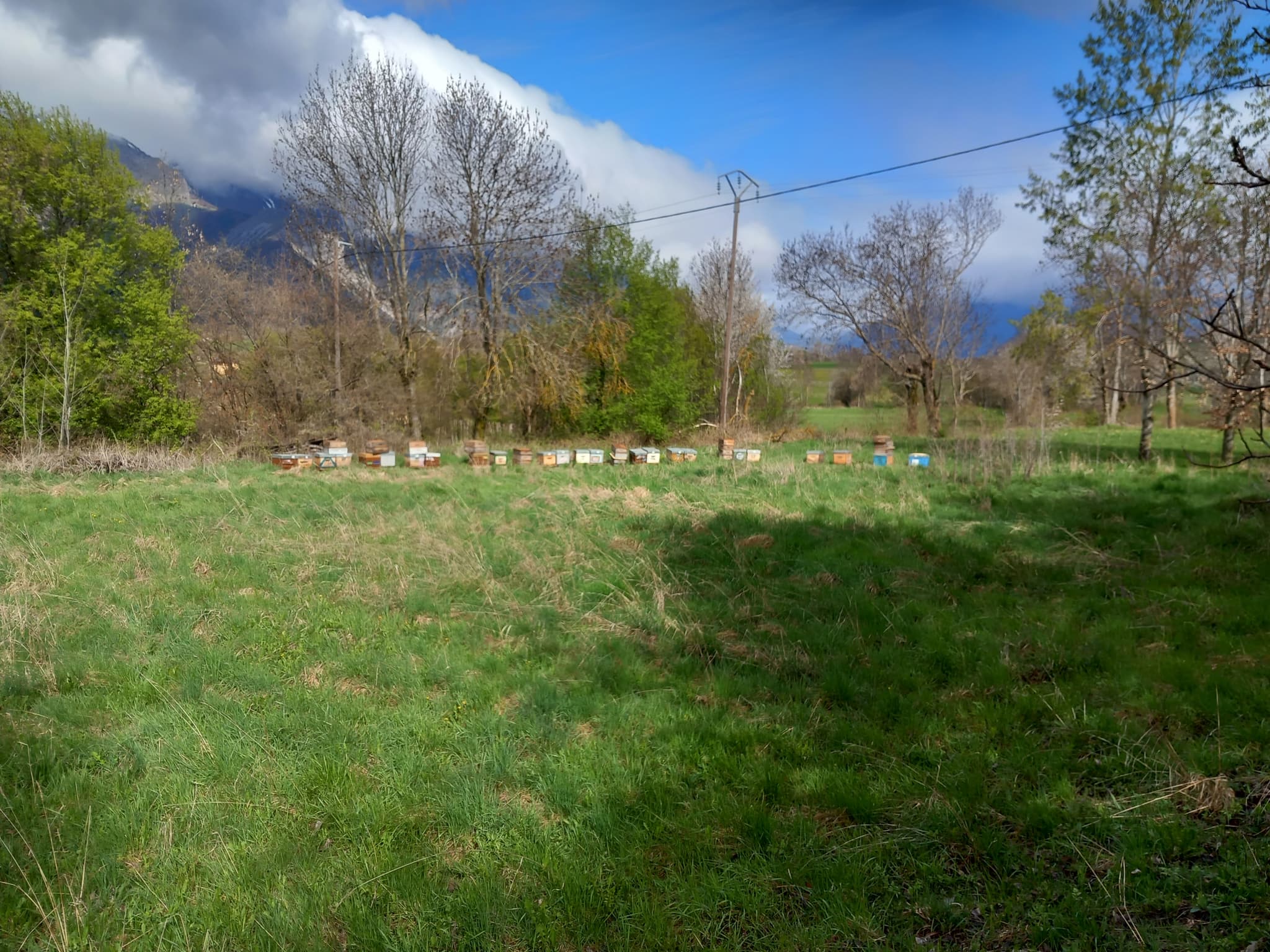 Compagnie des abeilles épicuriennes_Allauch