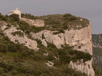 13VIS000245_3_WEB.jpg
