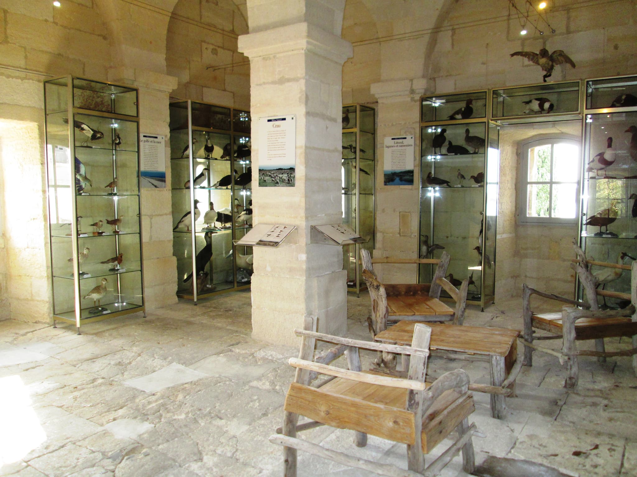 Plus grande collection ornithologique de Camargue dans la Tour Saint Louis